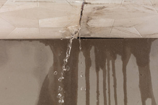 Professional Structural Drying technician working in American Canyon, CA